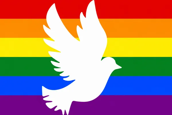 7_Taube Regenbogen